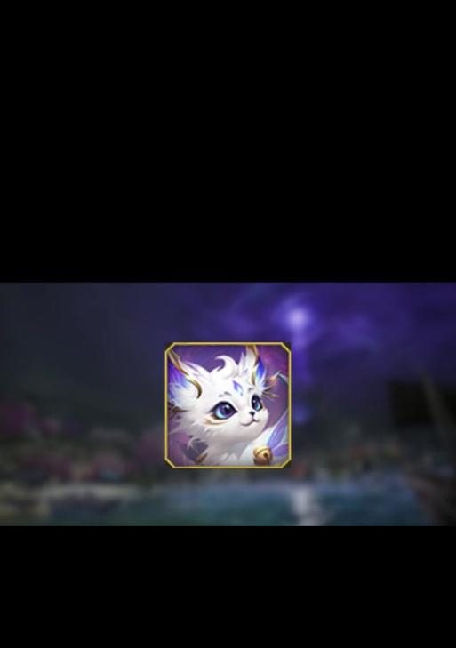 魔域战士选择哪种灵猫最佳？灵猫搭配技巧有哪些？