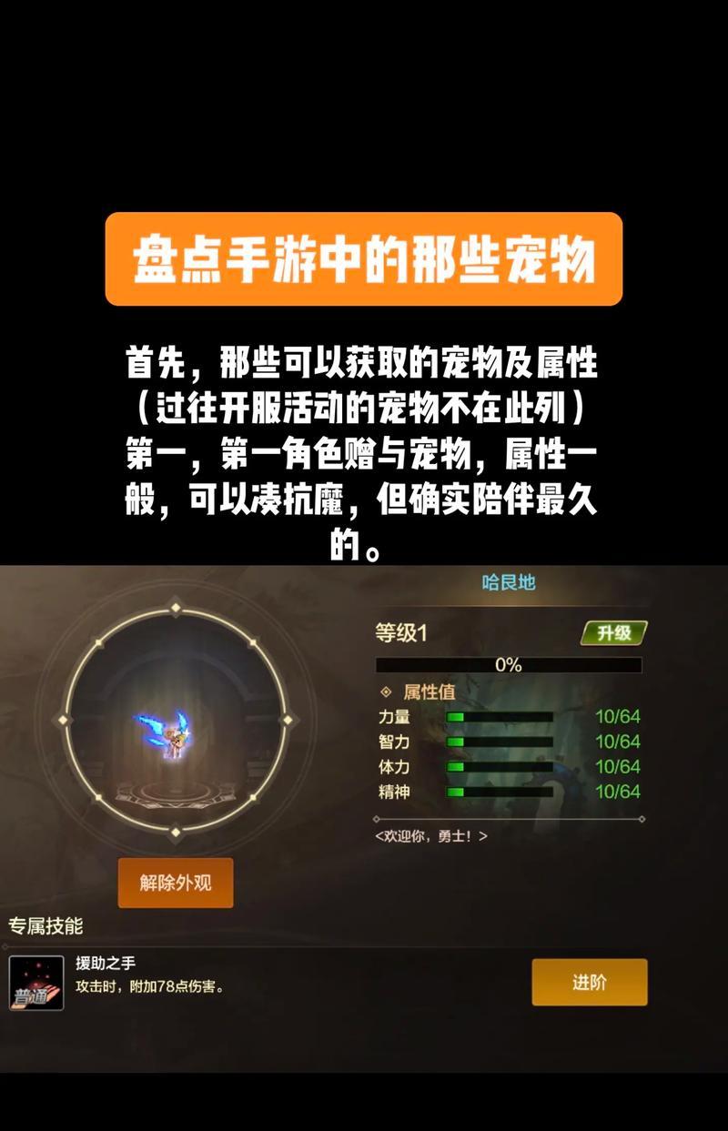 地下城宠物赠送最划算的方法是什么？