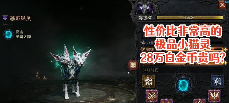 魔域小灵猫怎么合成？合成小灵猫需要哪些材料？