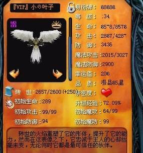 魔域跨服远征玩法指南是什么？