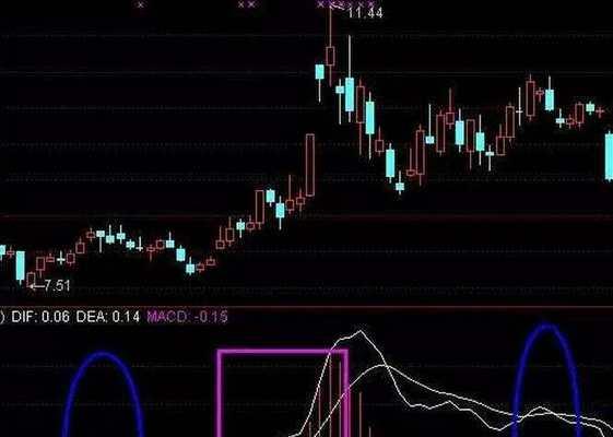 wz与cf相比有哪些优势和不足？