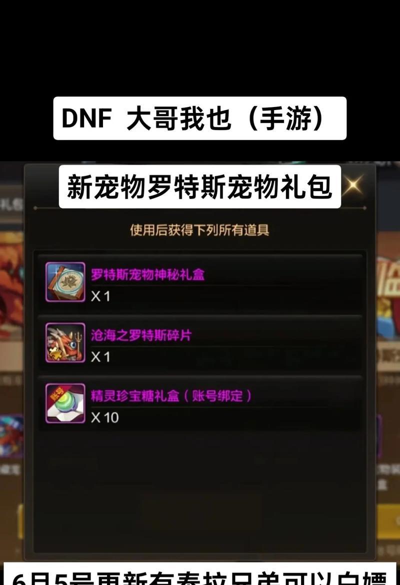 地下城宠物饼干为何无法拿出？如何解决宠物饼干无法拿出的问题？