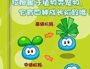 摩尔庄园拉姆属性获取途径有哪些？如何平衡三种属性？