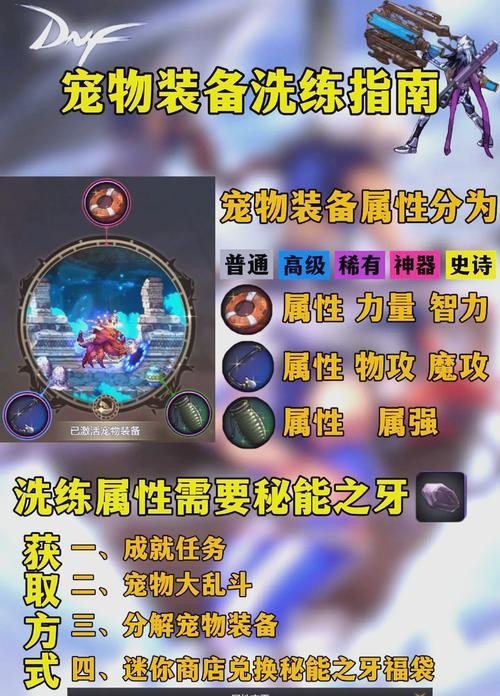 DNF裤子洗练选择哪种属性最佳？洗练技巧有哪些？