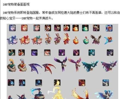 地下城宠物属性怎么看？宠物属性有何影响？