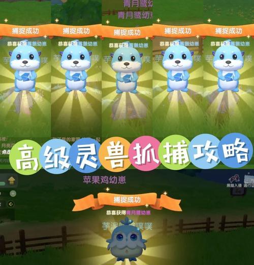 口袋妖怪敌方宠物抓捕方法有哪些？