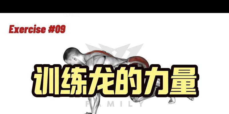 征途中养龙的技巧有哪些？如何有效培养龙？