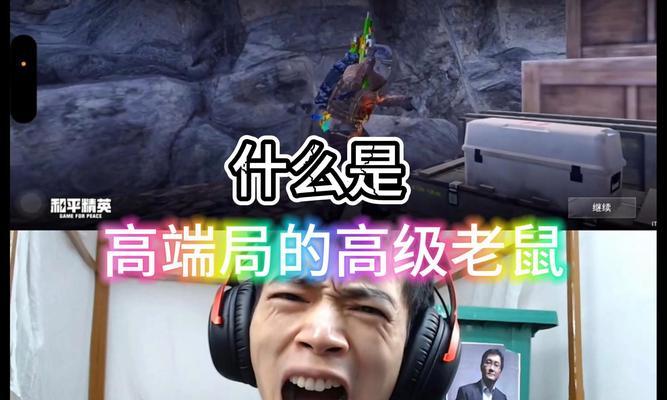 绝地求生排位老鼠应对策略是什么？如何有效打击老鼠？