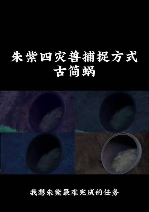 灾兽在口袋妖怪中如何被击败？
