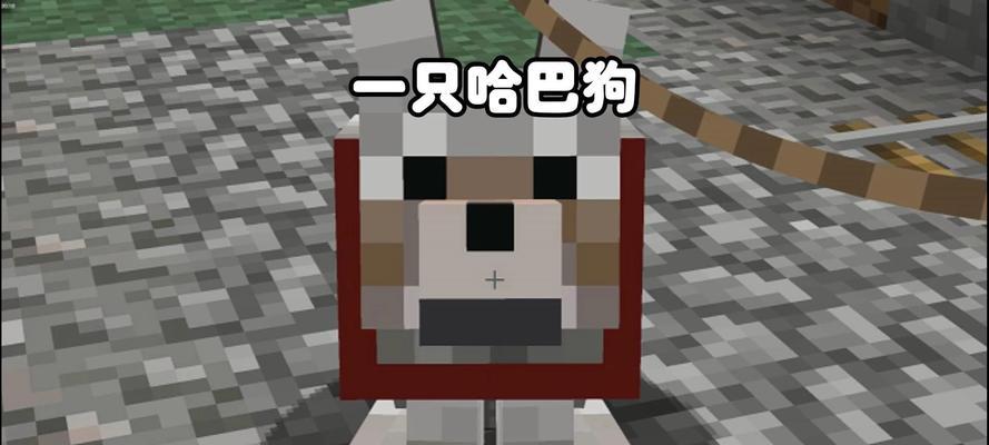 我的世界驯服狗的方法是什么？