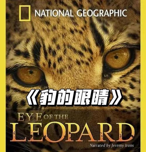 豹子在我的世界中如何繁育？