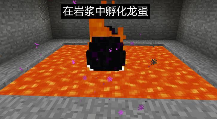 我的世界孵化小鸡需要什么条件？孵化后如何照顾？