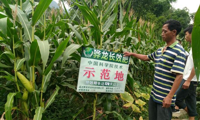 抽龙基地的进入条件是什么？有哪些技巧可以进入？