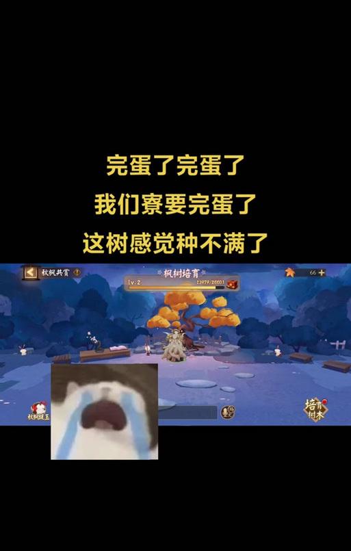 阴阳师中僵尸寮的管理方法是什么？如何提升僵尸寮的效率？