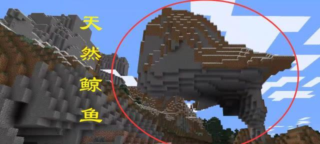 我的世界鲸鱼制作方法是什么？制作鲸鱼需要哪些材料？