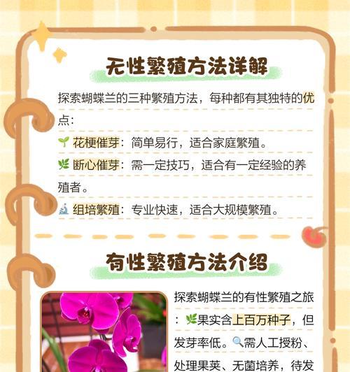 我的世界中兰的繁殖方法是什么？繁殖后如何照料？
