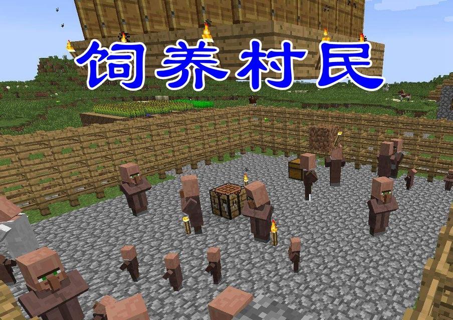 我的世界中兰的繁殖方法是什么？繁殖后如何照料？