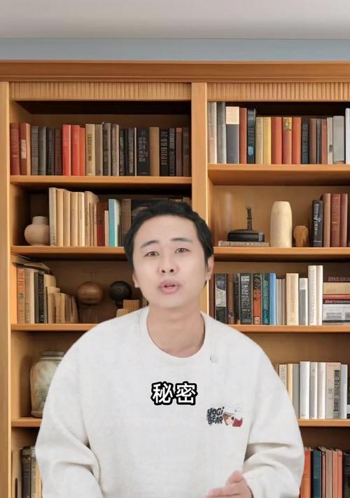 《哈利波特与死亡圣器下》游戏攻略大全（掌握游戏技巧）