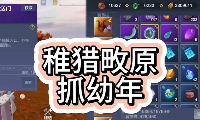 《妄想山海宠物技能解锁攻略》（以游戏为主）