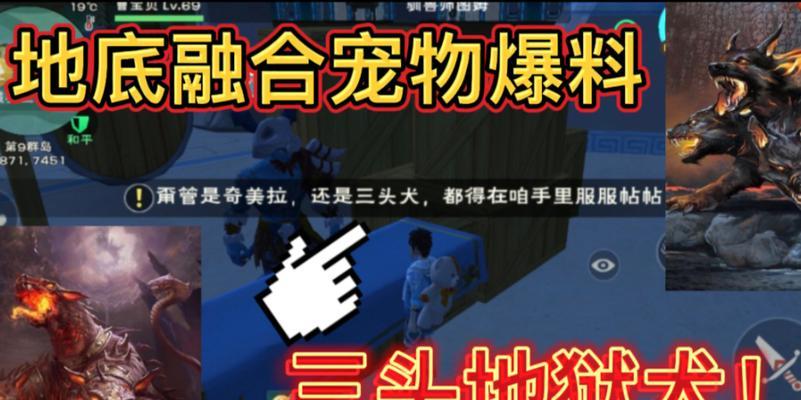 《龙之谷手游地狱犬巢穴攻略》（单刷攻略及关键技巧分享）