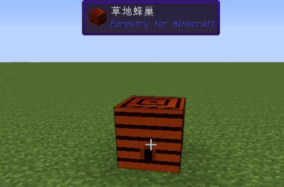 我的世界中蜜蜂如何捕捉？需要什么工具？