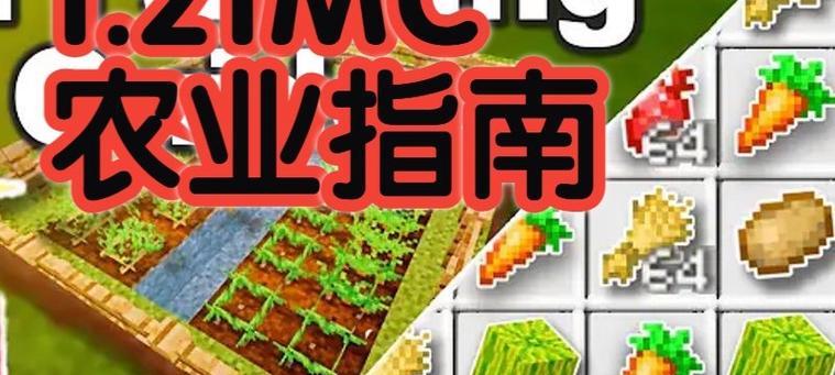 我的世界中稻草种植的正确方法是什么？