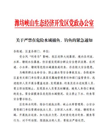 《小小航海士外传捕鱼钓鱼技巧攻略》（提升技巧）