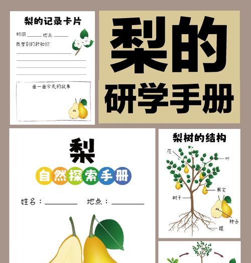 我的世界的梨子怎么种？种植梨树的步骤是什么？