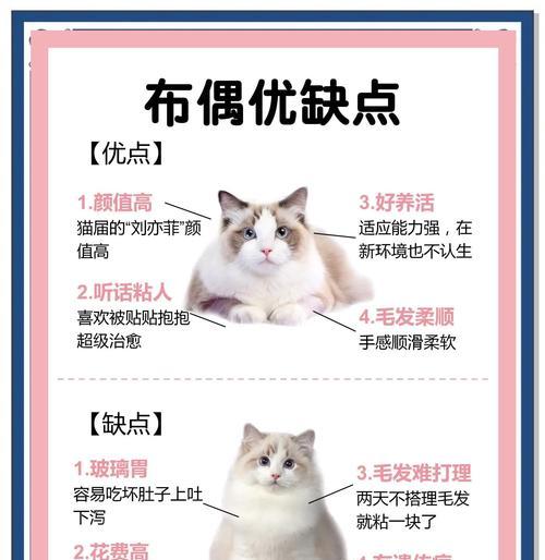 《以灵猫传布萌萌》（以猫咪为主角的萌趣游戏）
