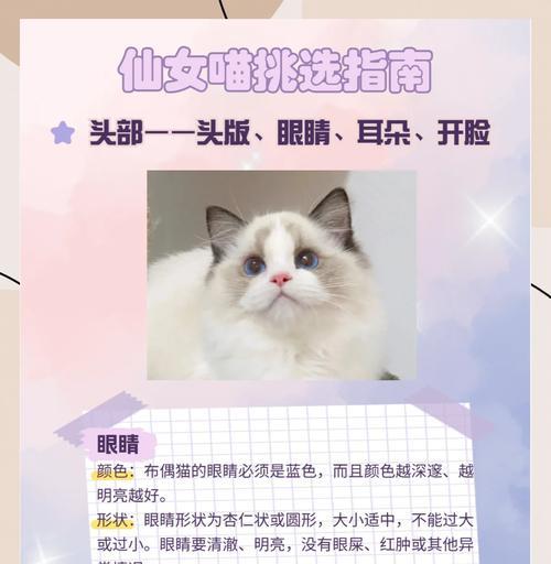 《以灵猫传布萌萌》（以猫咪为主角的萌趣游戏）