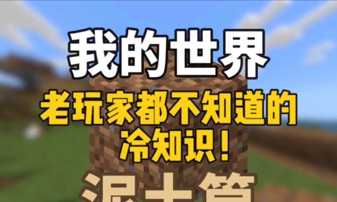 我的世界怎么去除土块？去除土块的有效方法是什么？