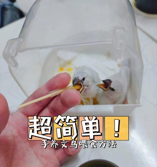 我的世界中鸸鹋如何喂食？正确的喂食方法是什么？