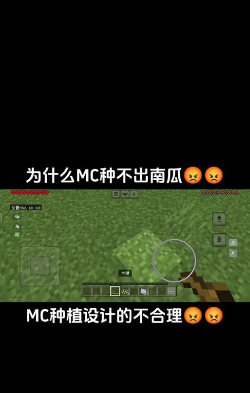 《我的世界》中南瓜的种植方法是什么？