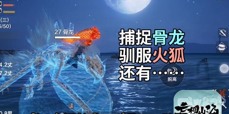 燃烧战场（探索万年火狐的传说力量）