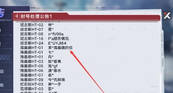 幻塔雷双刀——刺客之极致（以背刺为主攻）