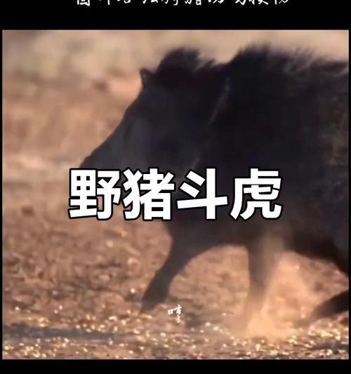 《王者荣耀》中老虎和野猪英雄的玩法是什么？如何发挥最大效能？