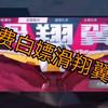 重装上阵滑翔翼使用指南（让你成为滑翔翼的玩家达人）