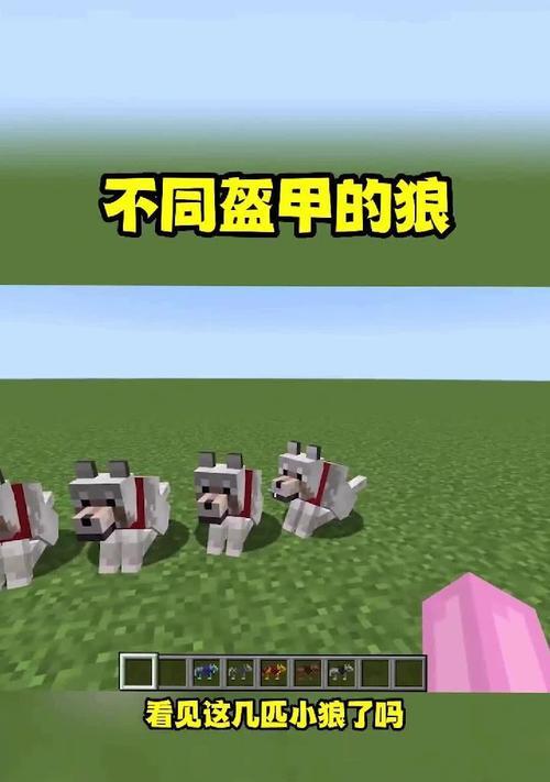 我的世界中小狼的喂养方法是什么？