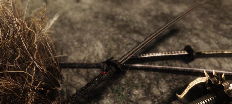 《幻想神域》游戏新武器太刀登场（追求极致剑术）