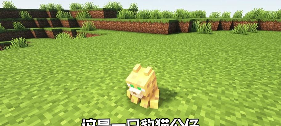 我的世界稻草人的制作步骤是什么？需要哪些材料？