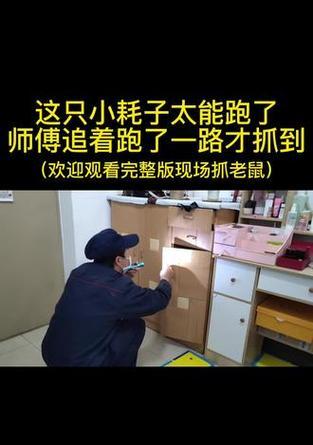 老鼠师傅的获取方式有哪些？需要满足什么条件？