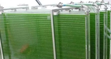 《缺氧》游戏中热泉环境下的藻类养殖箱使用方法一览（快速掌握游戏中利用养殖箱种植藻类的关键技巧）