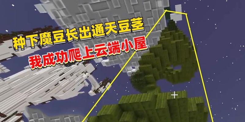 我的世界中魔豆种植的正确方法是什么？