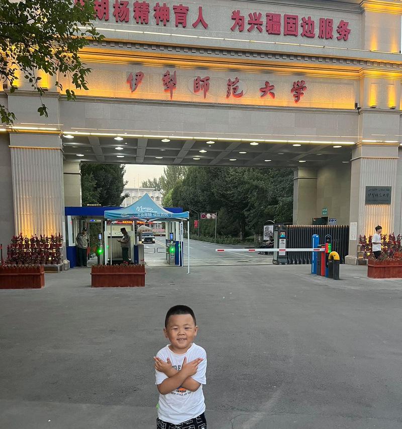 我的世界中犁的使用方法是什么？