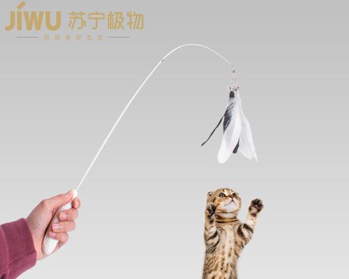 游戏中的小花园（探索虚拟世界中与猫咪互动的乐趣）
