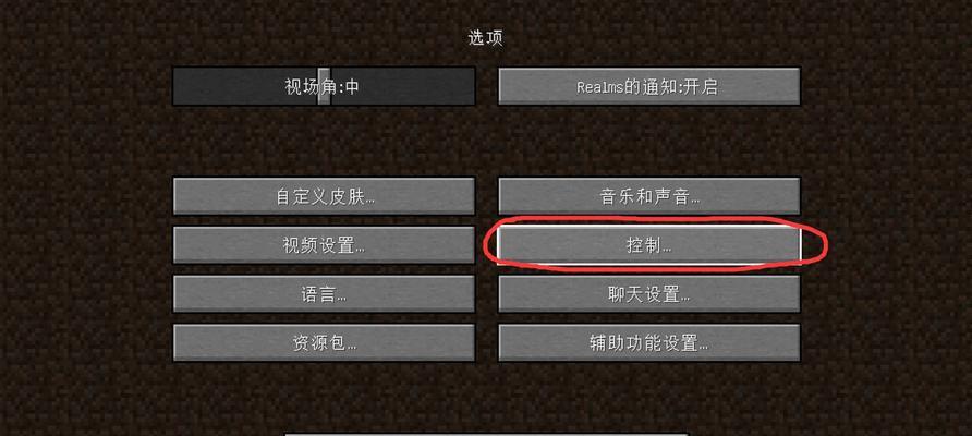《我的世界》1.20版本如何放大视角？有哪些快捷键或设置？