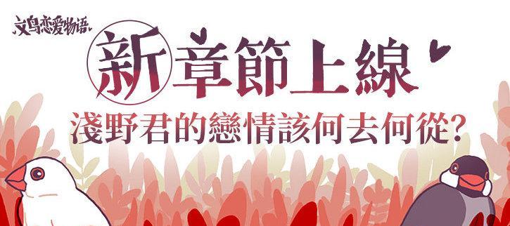 《以文鸟恋爱物语》攻略全剧情通关攻略（用游戏攻略帮助你完成所有恋爱故事）
