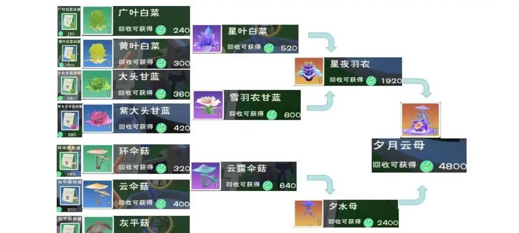 《创造与魔法》中如何制作云鹰饲料饲喂肉（探索游戏世界）