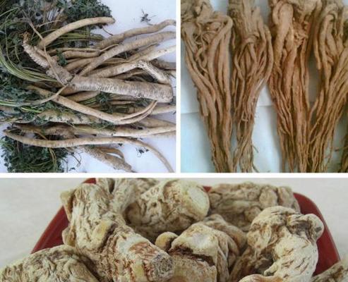 大话西游中药品购买的途径有哪些？
