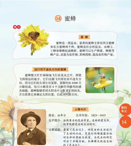 《挨饿荒野蜜蜂》攻略及蜜蜂获取技巧详解（打造最强蜜蜂团队）